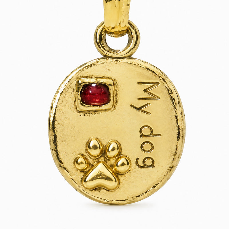 Round pet tag with a red accent