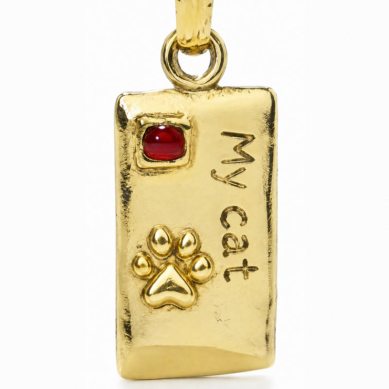 Rectangular pet tag with a red accent