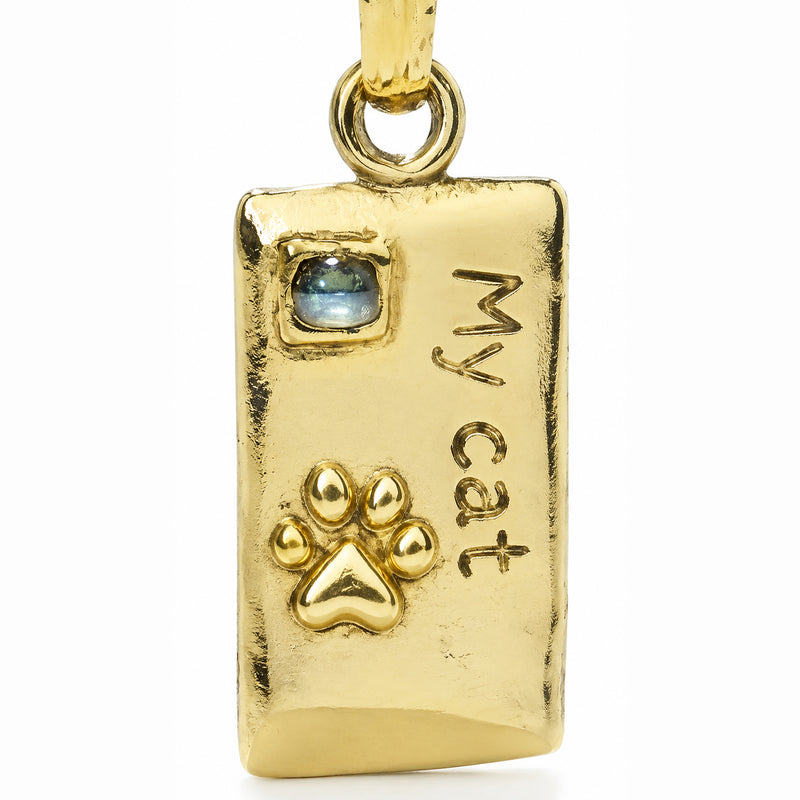 Rectangular pet tag with a blue accent