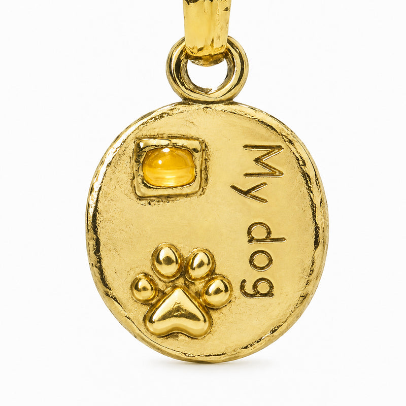 Round pet tag with a amber accent