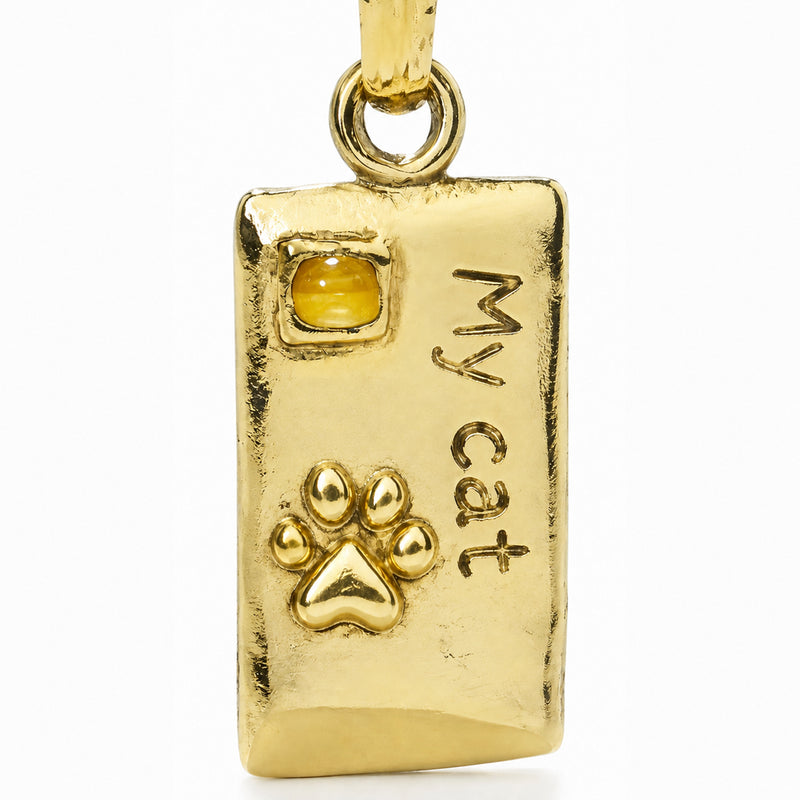 Rectangular pet tag with a amber accent