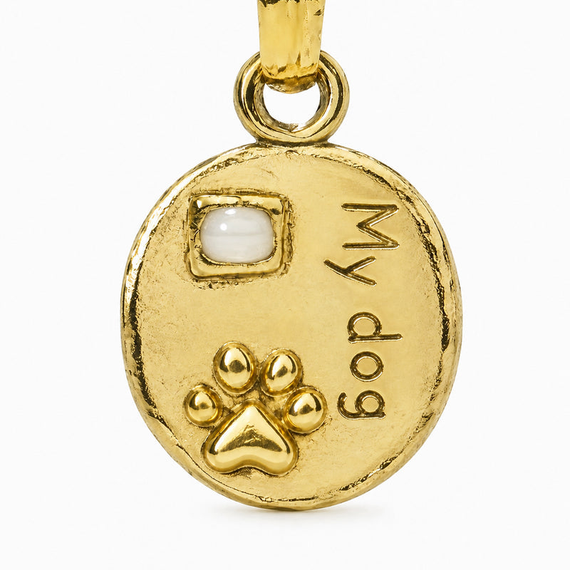 Round pet tag with a clear accent