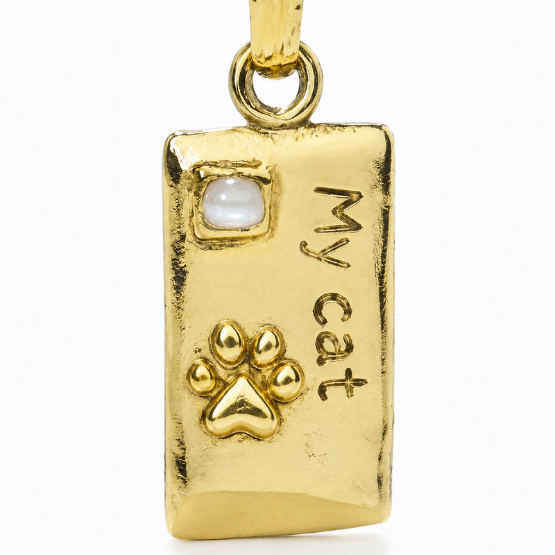 Rectangular pet tag with a clear accent