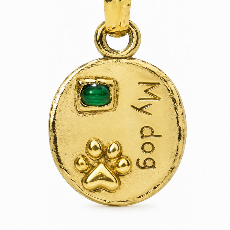 Round pet tag with a green accent