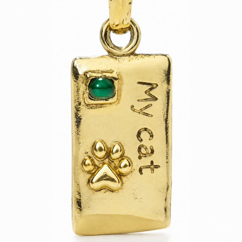 Rectangular pet tag with a green accent