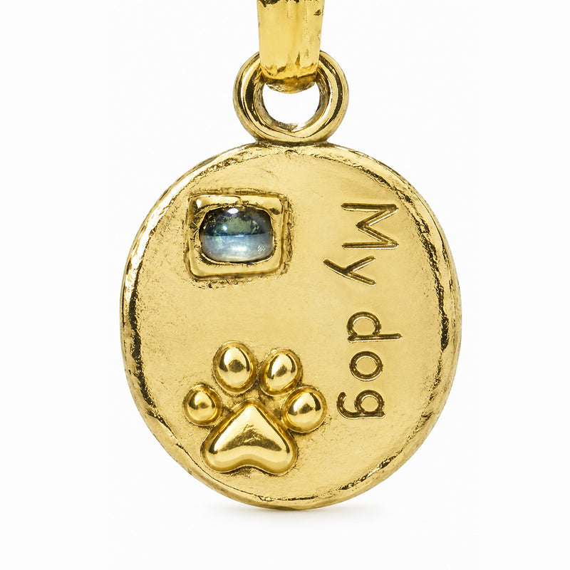 Round pet tag with a blue accent